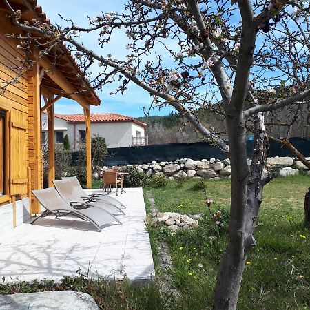 Chalet Mont Canigo Villa Corneilla-de-Conflent Exteriör bild