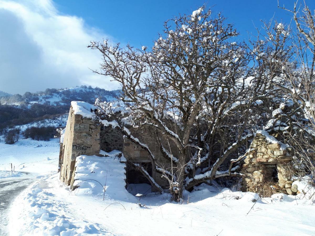 Chalet Mont Canigo Villa Corneilla-de-Conflent Exteriör bild